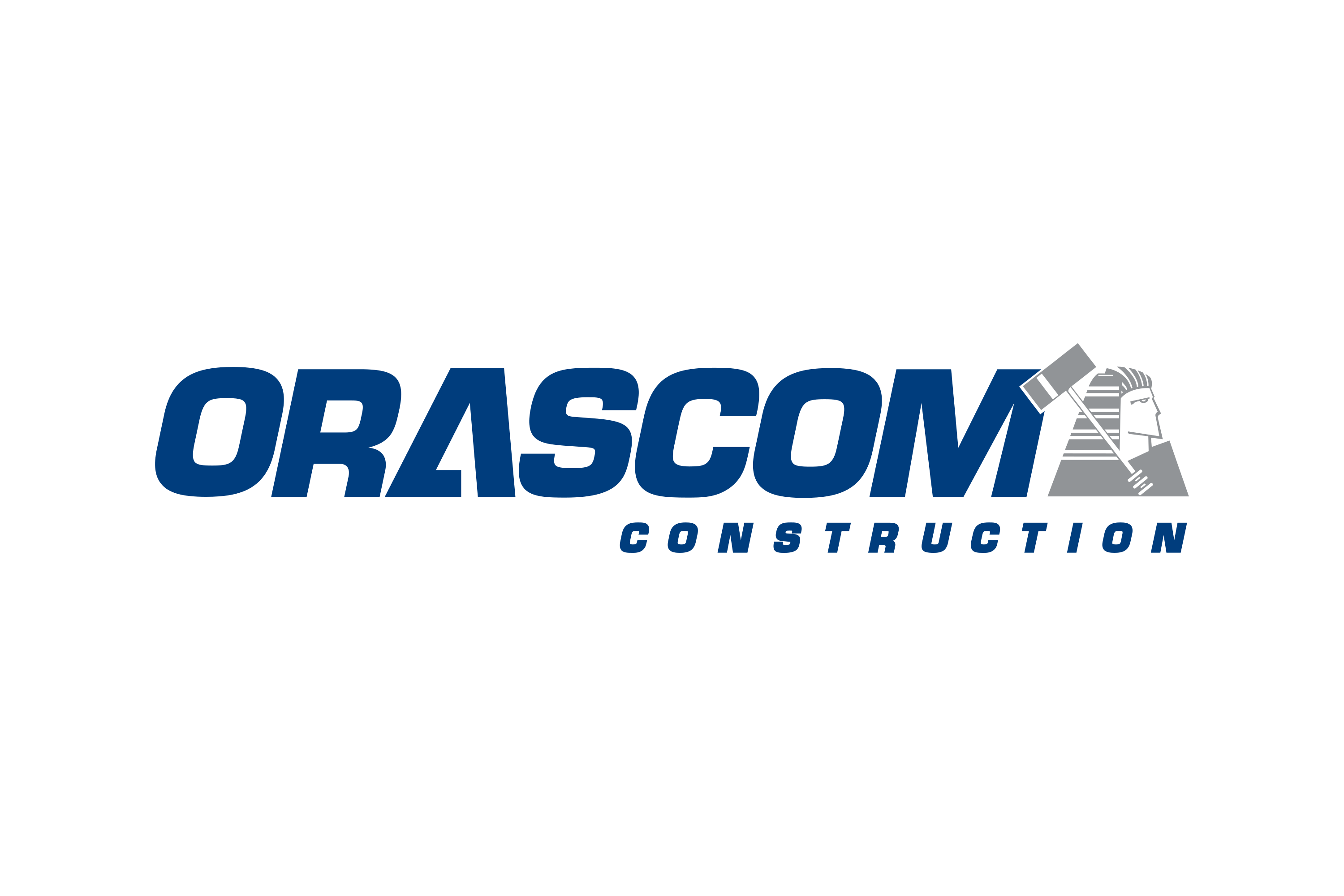 Client Logo